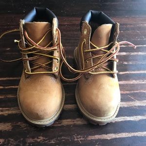 Timberlands toddlers 6.5